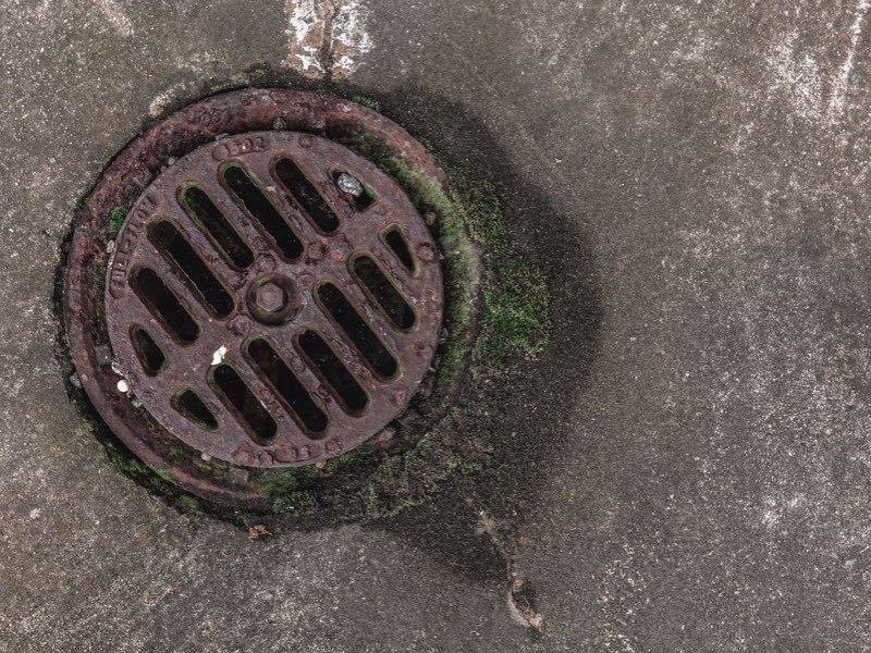 Coladera de patio azolvada que no desaloja el agua